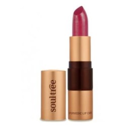 BARRA DE LABIOS 5640 Rasberry Crush 4 gr