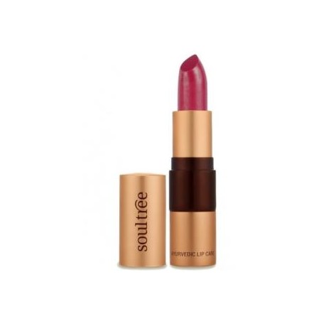 BARRA DE LABIOS 5640 Rasberry Crush 4 gr