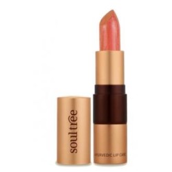 BARRA DE LABIOS 5 817 Cantaloupe 4 gr