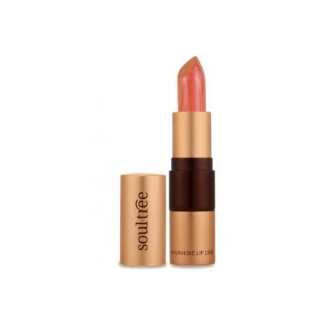 BARRA DE LABIOS 5 817 Cantaloupe 4 gr