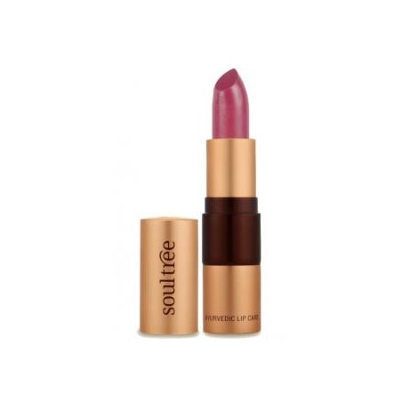 BARRA DE LABIOS  520 Ice Plum 4 gr