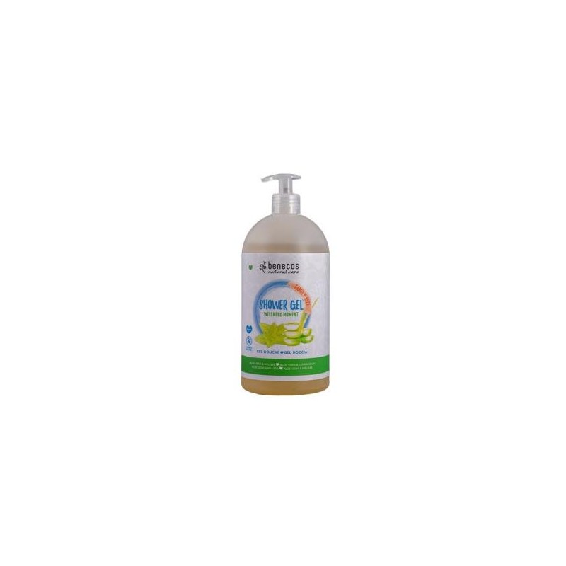 GEL BAÑO FAMILIAR WELLNESS MOMENST aloe-melisa 950 ml