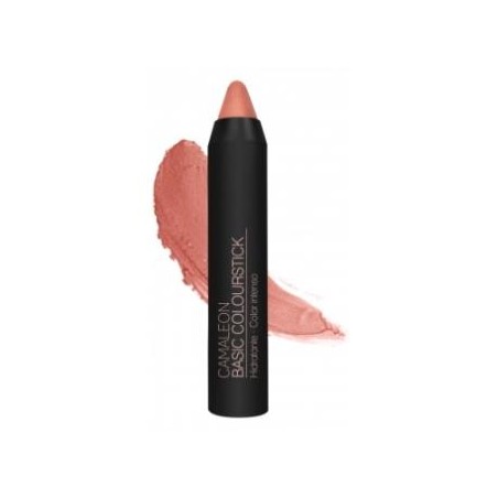CAMALEON cosmetics CAMALEON BASIC COLOURSTICK nude 4gr.