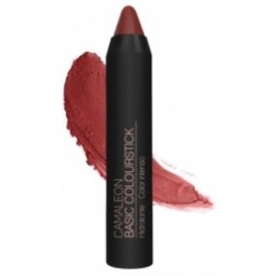 CAMALEON cosmetics CAMALEON BASIC COLOURSTICK terra 4gr.