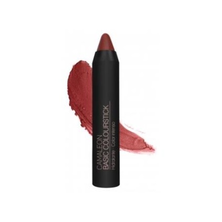 CAMALEON cosmetics CAMALEON BASIC COLOURSTICK terra 4gr.