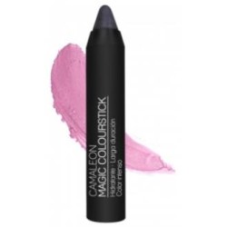CAMALEON cosmetics CAMALEON MAGIC COLOURSTICK gris 4gr.