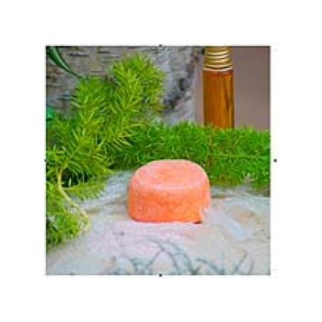 CHAMPU SOLIDO VOLUMEN 85gr.