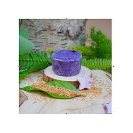 CHAMPU SOLIDO RIZOS 85gr.