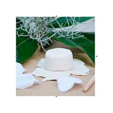 CHAMPU SOLIDO NUTRITIVO 85gr.