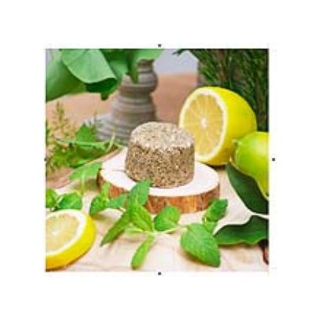 CHAMPU SOLIDO ANTIGRASA 85gr.