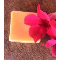 ACONDICIONADOR SOLIDO ANTIFRIZZ 55gr.**