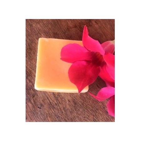 ACONDICIONADOR SOLIDO ANTIFRIZZ 55gr.**