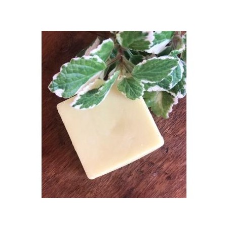 ACONDICIONADOR SOLIDO CABELLO FINO 55gr.