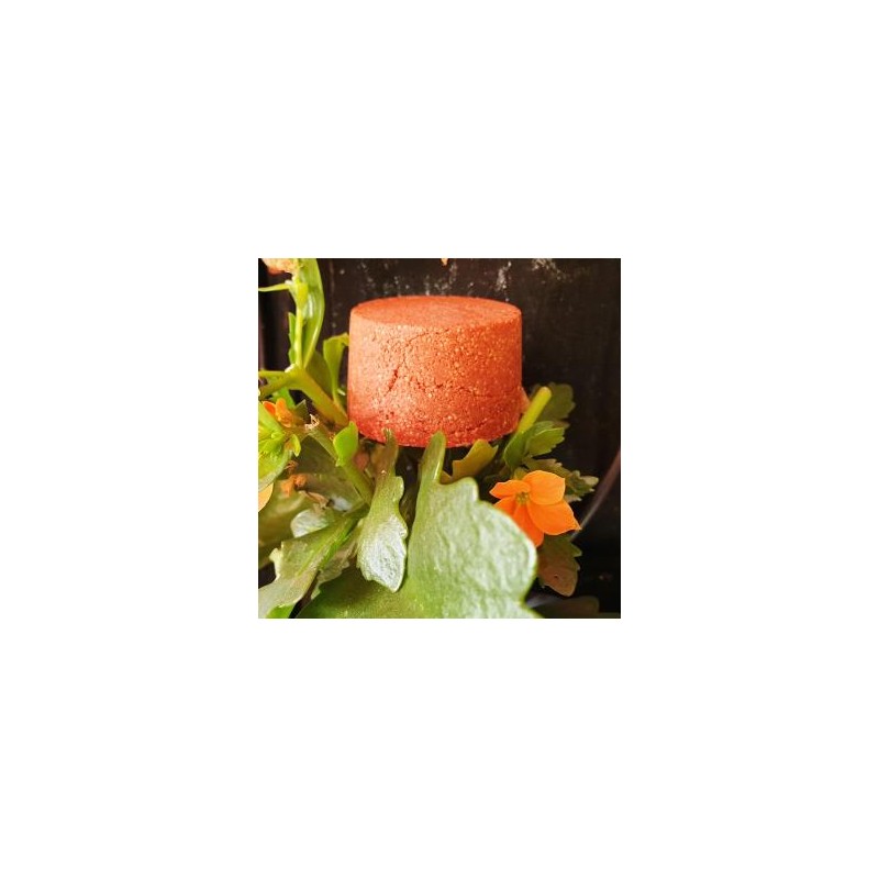 CHAMPU SOLIDO CABELLOS ROJIZOS 85gr.