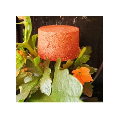 CHAMPU SOLIDO CABELLOS ROJIZOS 85gr.