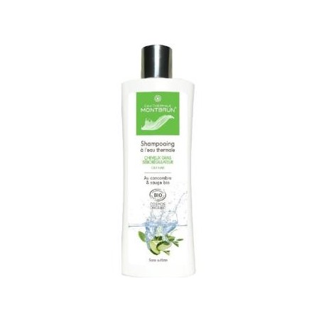CHAMPU CABELLO GRASO con agua termal 250ml. BIO