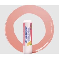 BOIRON DERMOPLASMINE stick labial 4gr.