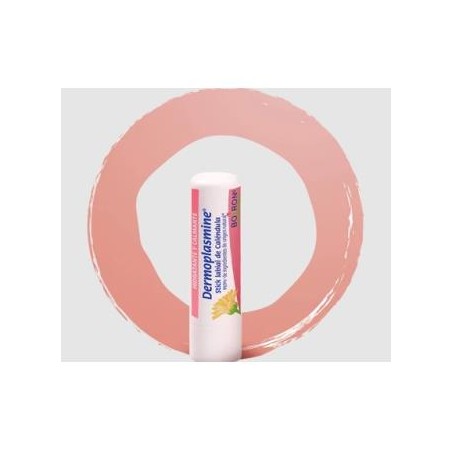 BOIRON DERMOPLASMINE stick labial 4gr.