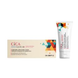 GLOCAL CICAGLOCAL crema siliconica 30ml.
