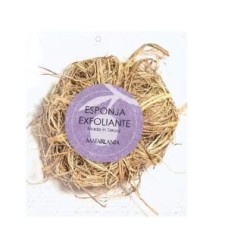 ESPONJA EXFOLIANTE