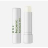 TERPENIC LIPNATURE balsamo labial 1gr. BIO