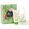 FLEURANCE NATURE COFRE ALOE VERA espuma +gel aloe+crema hidratante