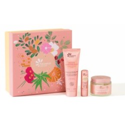 FLEURANCE NATURE COFRE NUTRICION INTENSA crema+mascarilla + labial