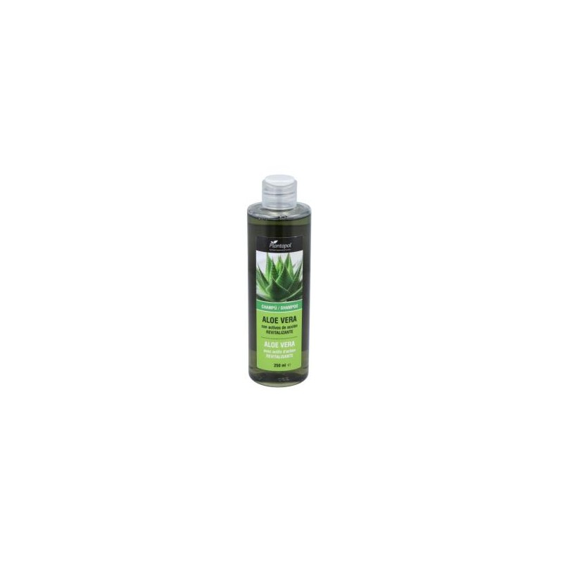 CHAMPU USO FRECUENTE con aloe vera 250ml.