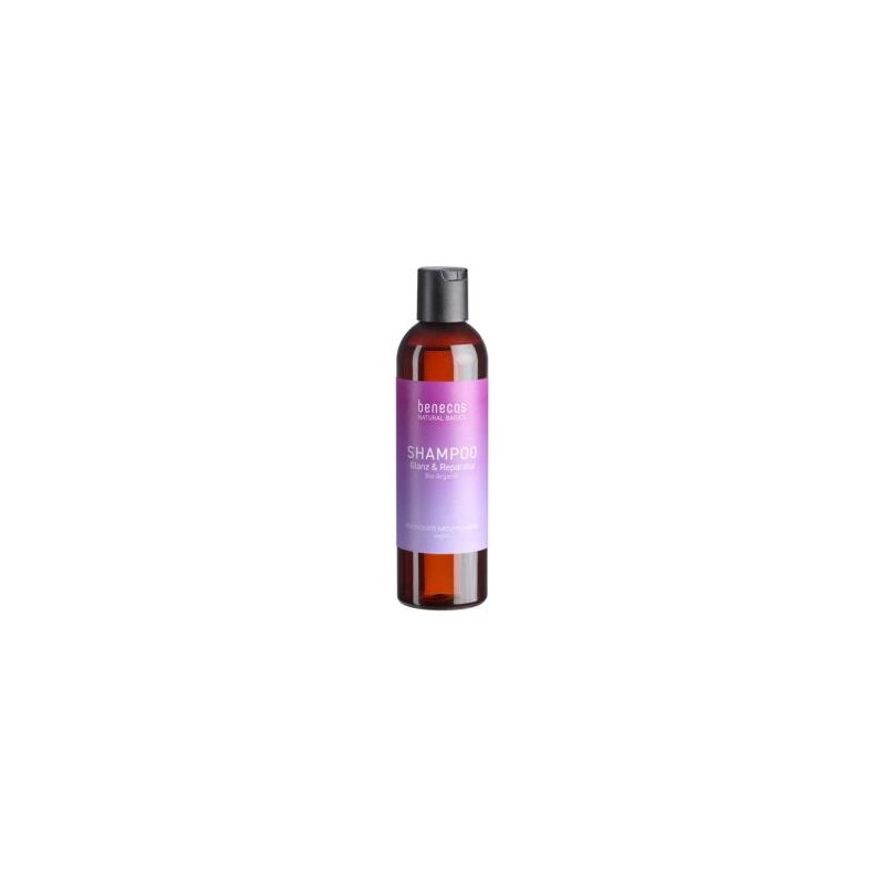 CHAMPU BRILLO Y REPARACION argan 200 ml BIO VEGAN
