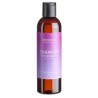 CHAMPU BRILLO Y REPARACION argan 200 ml BIO VEGAN